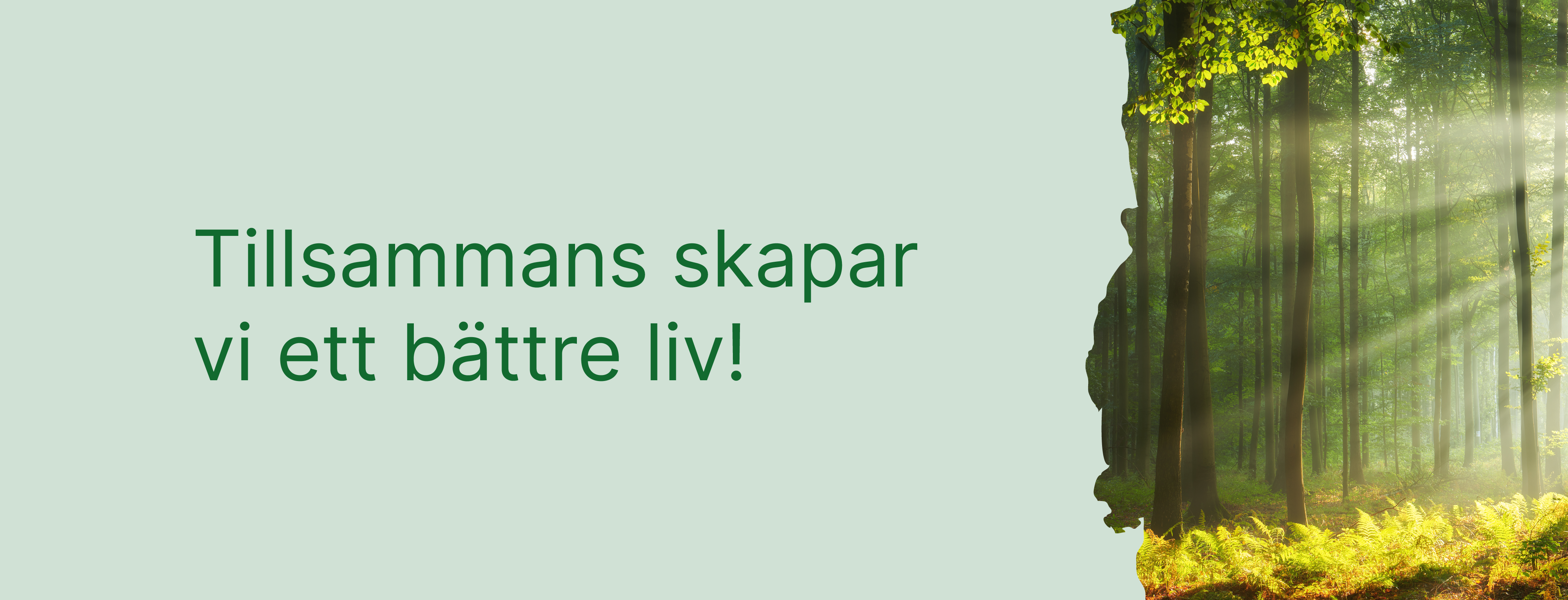 en kartbild med foto i
